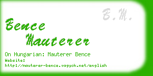 bence mauterer business card